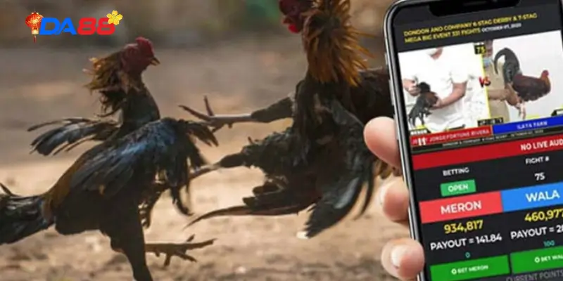 Kinh nghiệm soi kèo đá gà DA88 từ thực tế